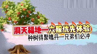 《大话西游》“洞天福地”六大服优先体验！