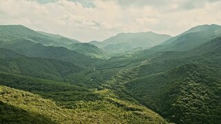 《第五人格》公益活动《微光成林》红松林守护行动公益项目