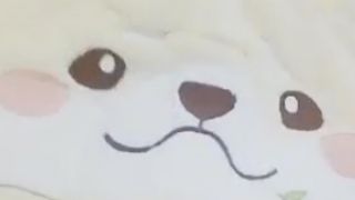 阴阳师犬神围巾暖冬版周边开箱视频：神秘商人的商品性价比说明