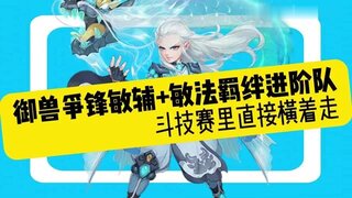 《大话西游》御兽争锋斗技赛双敏流 双敏羁绊乱杀队！