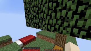 大海解说 我的世界Minecraft 蜘蛛精空岛生存逃生