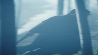《极品芝麻官》预告片首曝！同名短剧6月28开播