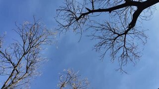 《一梦江湖》全新灵感企划「艺境长明」