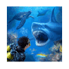 鲨鱼VR