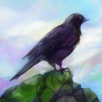 千山飞鸟（破解版）