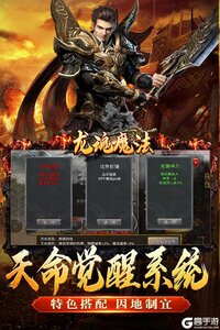 龙魂魔法电脑版游戏截图-2