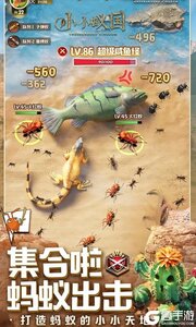 小小蚁国（极速发育版）游戏截图-2