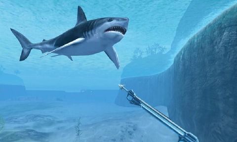 鲨鱼VR游戏截图-1