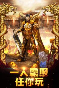 龙城之路电脑版游戏截图-4