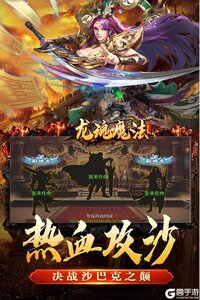 龙魂魔法电脑版游戏截图-3