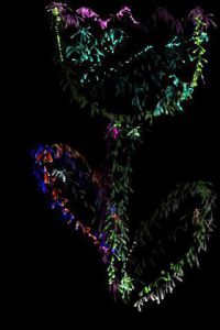 Spark Art电脑版游戏截图-3