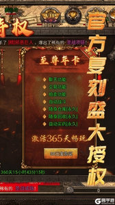 龙腾传奇游戏截图-1