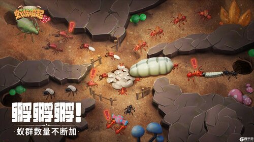 蚁族崛起九游版游戏截图-1
