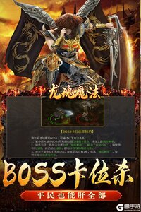 龙魂魔法电脑版游戏截图-1