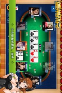乐乐德州扑克辅助工具游戏截图-3