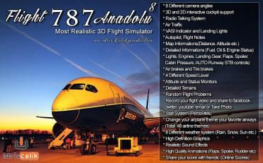 模拟飞行787 专业版电脑版游戏截图-1