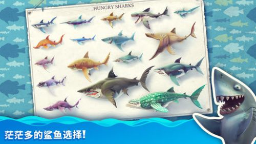 饥饿鲨：世界电脑版游戏截图-3
