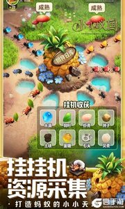 小小蚁国（极速发育版）游戏截图-3