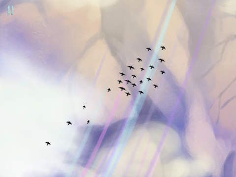 千山飞鸟（破解版）电脑版游戏截图-1