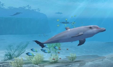鲨鱼VR游戏截图-0