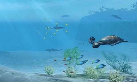 鲨鱼VR电脑版游戏截图-3