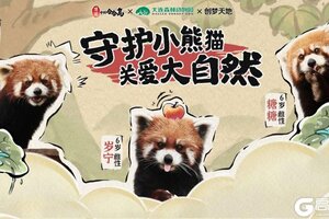 《传说中的合合岛》认养濒危小熊猫，用游戏传播公益正能量
