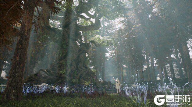 《伊米尔传奇》10月28日公测 预约奖励获取