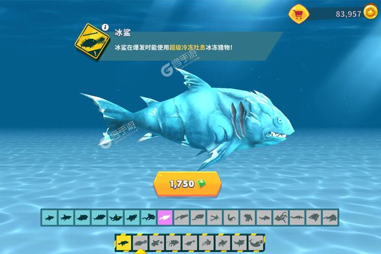 饥饿鲨进化手机版