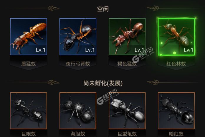 小小蚁国极速发育版