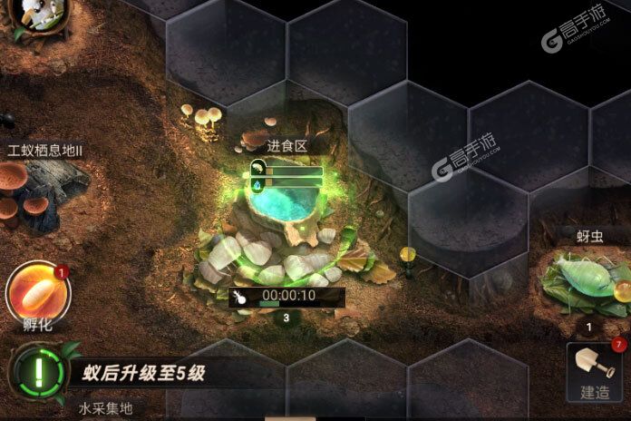 小小蚁国（极速发育版）