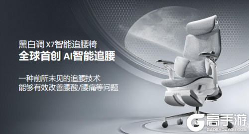 人体工学椅品牌排行榜前十名常客,黑白调如何用科技重新定义